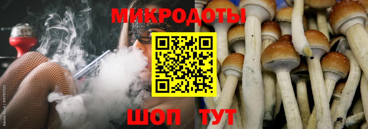 Галлюциногенные грибы Cubensis Керчь